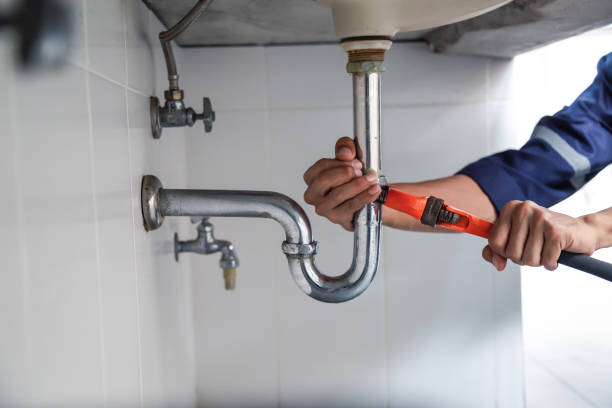 Best Clogged Drain Plumber  in Havana, IL